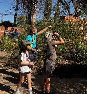 2 campers with a Desert Museum staff member exploring with binoculars 